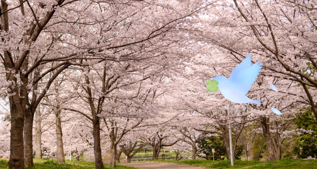 生活介護事業所  青い鳥