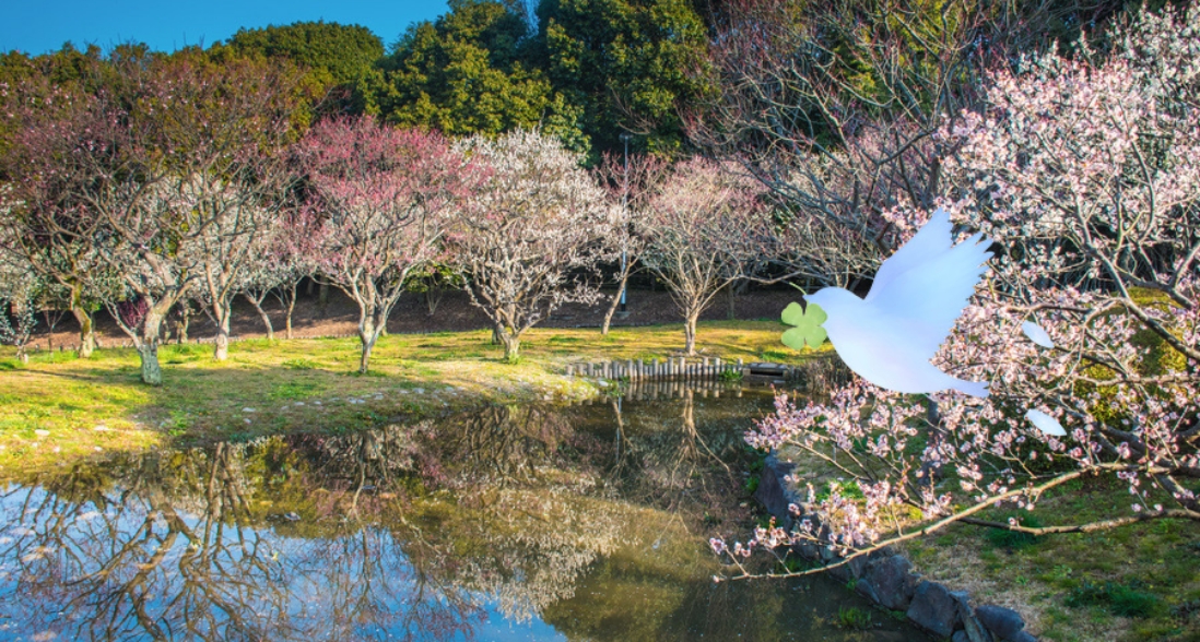 訪問看護ステーション  青い鳥